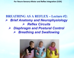 Breathing As a Reflex Strengthen Your Stress Resilience and Immunity with MNRI Reflex Exercises during the Coronavirus Pandemic