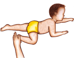 MNRI Bauer Crawling Reflex