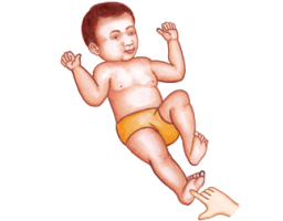 MNRI Leg Cross FlexionExtension Reflex